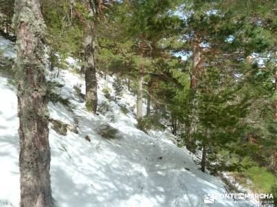 Siete Picos - Valle la Fuenfría; excursiones; rutas por madrid; excursiones cerca de madrid